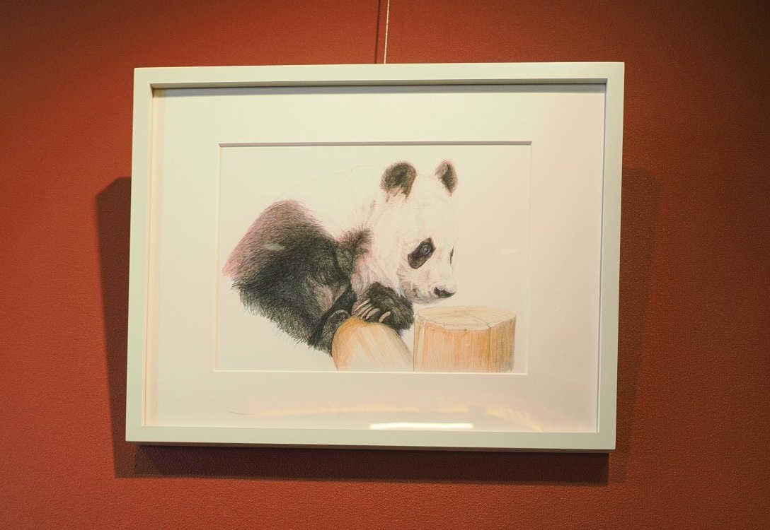 宮内珈琲さんで作品が展示されている様子