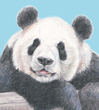水彩画 原画 パンダ幼稚園 水彩画 原画 パンダ幼稚園 - メルカリ